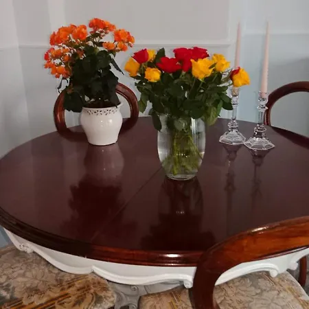 Sofia Apartman Mestre